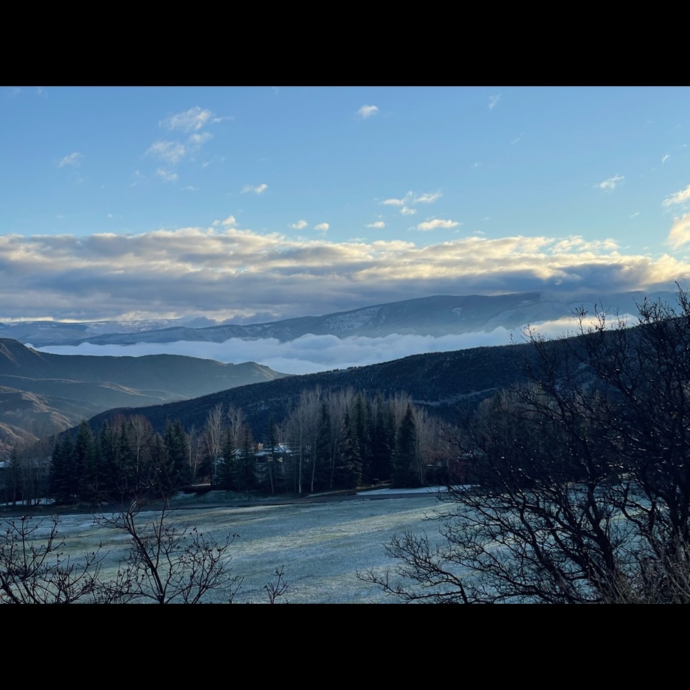 Meet your Posher, Shyla